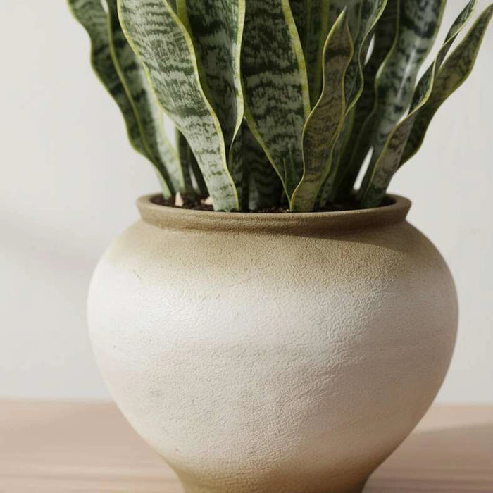 Snake Artificial Plant In Ceramic Pot H109Cm - Green