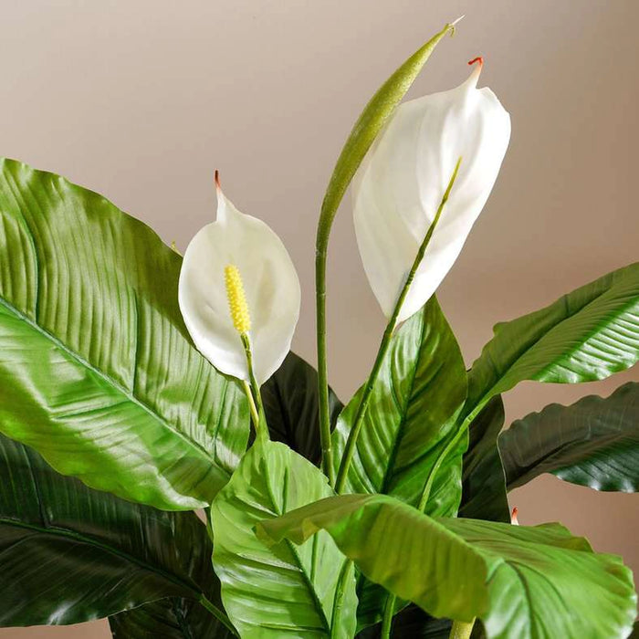 Spathiphyllum Artificial Tree H140Cm - Green