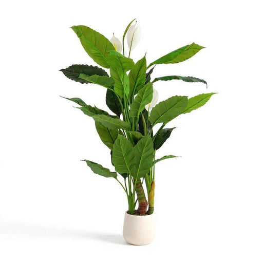 Spathiphyllum Artificial Tree H140Cm - Green PAN HOME