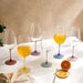 Spectrum 6-Piece Stemware Crystal Glass Set 550Ml -Clear Pan Home
