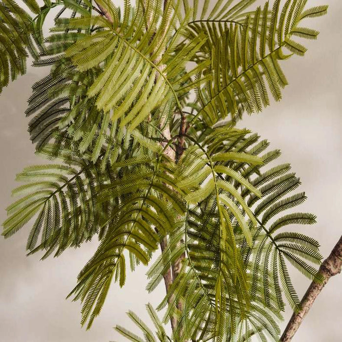 Spiny Date Palm Tree With Pot H240Cm - Green