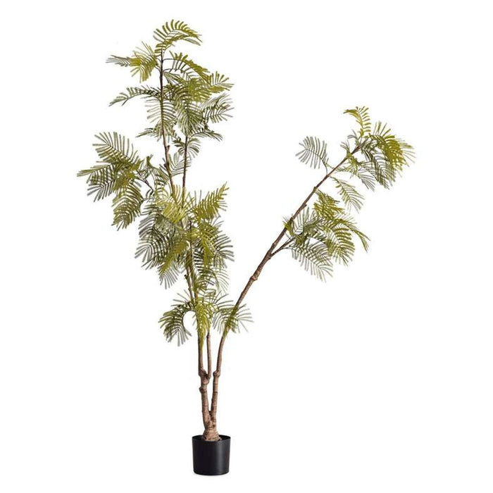 Spiny Date Palm Tree With Pot H240Cm - Green