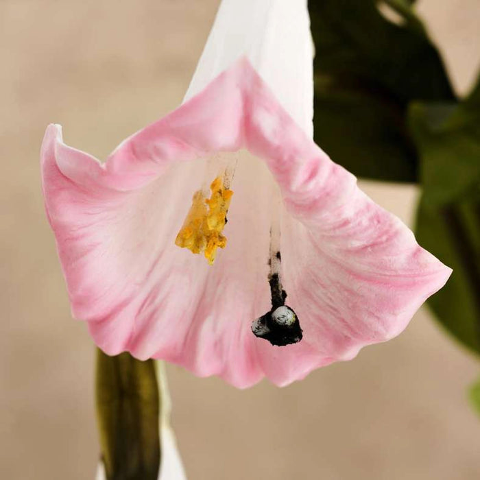 Stramonium Artificial Stem H131Cm - Pink