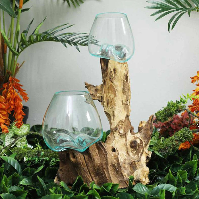 Thy Wood Glass Terrarium Clear/Natural 20X20X40Cm