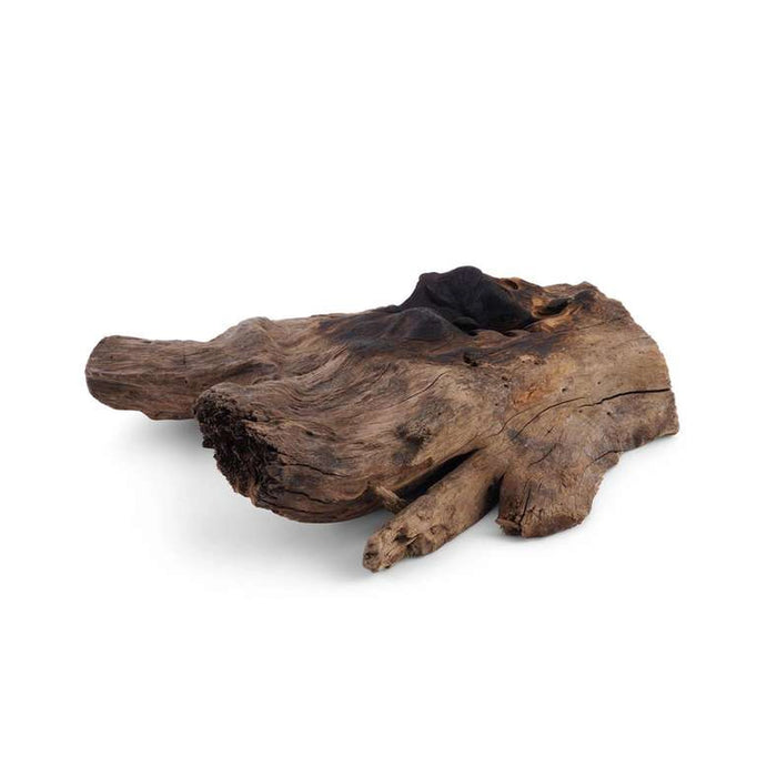 Thy Wood Glass Terrarium Clear/Natural 25X25X15Cm