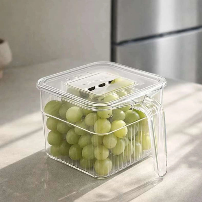 Verde Fridge Organizer With Handle 16.5X13.8X10.5Cm -Clear