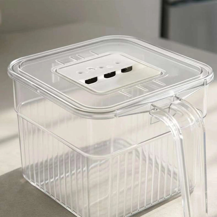 Verde Fridge Organizer With Handle 16.5X13.8X10.5Cm -Clear