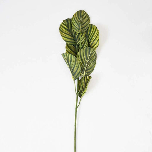 Wild Leaves Artificial Stem 20.32X20.32X78.74Cm- Green Pan Home