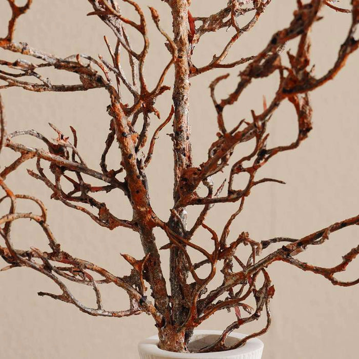 Willow Dried Branch H110Cm - Brown