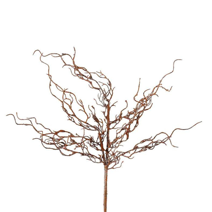Willow Dried Branch H110Cm - Brown