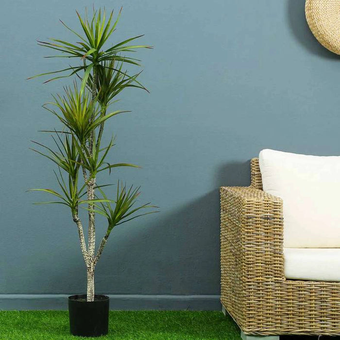 Yucca Tree Green H150Cm