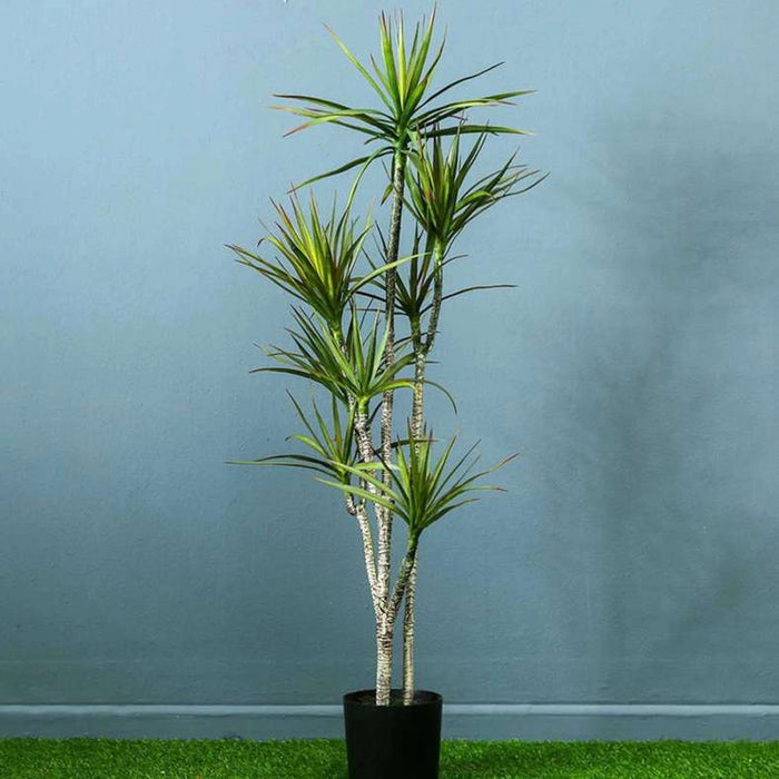 Yucca Tree Green H150Cm