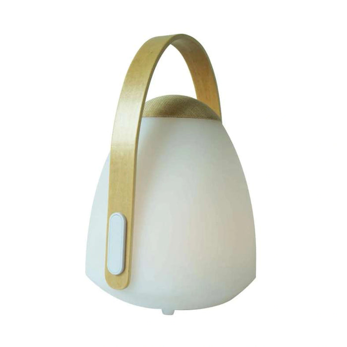 Zolly 16 Rgb Color Changing Led Light With Speaker Ip44 Waterproof 20X18.5X28Cm - White
