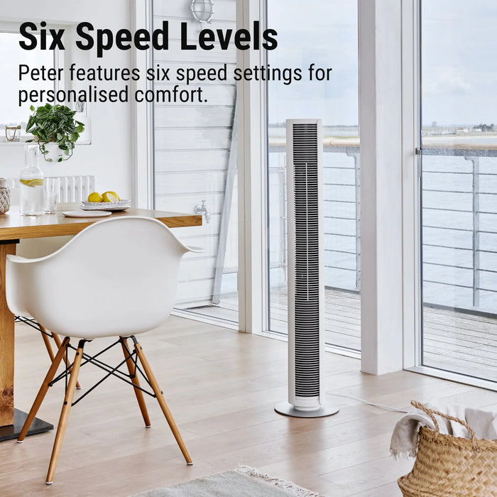 Stadler Form Peter White Swiss Design Column Fan Timer, Oscillation, Remote Control 6 Speed Levels Leatherette, Low Energy Consumption, 2-Year Warranty by Manufacturer + Local Support