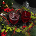 Red Wine 280ml by Fissman Drinkware Glass Set, Universal Glass,Classic Stemware Set,Perfect for,Wedding, Christmas, Dinner Date, Romantic Occcasion, Birthday And Party (Red+WhiteCombo) Fissman