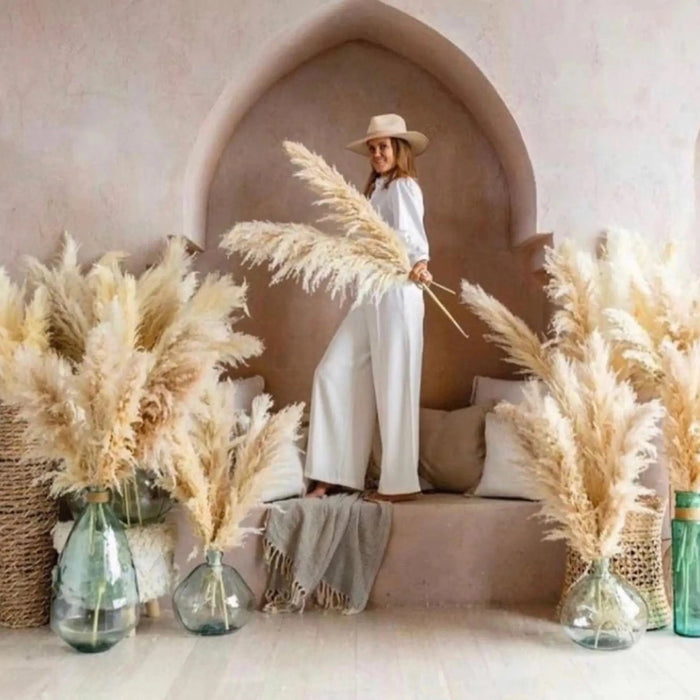 Natural Beige Dried Pampas Grass