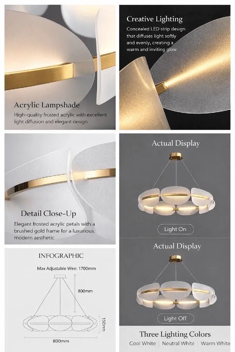 Petal Glow Modern Chandelier – Gold Frame with Frosted Acrylic Petal Shades