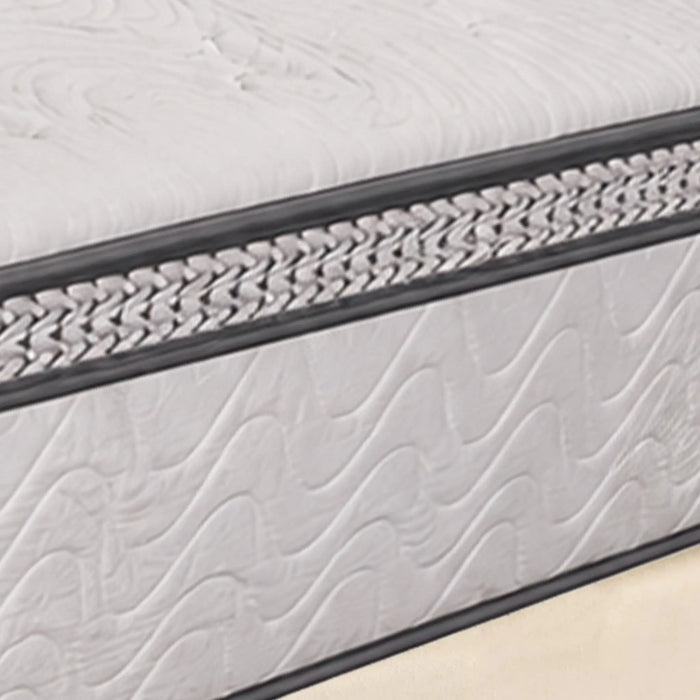 Sleepwell Executive Pocket Spring Mattress, Medium Firm, Plush Comfort, Spinal Support, Zero Partner Disturbance, Durable Foam, Premium Quality, 5-Years Warranty