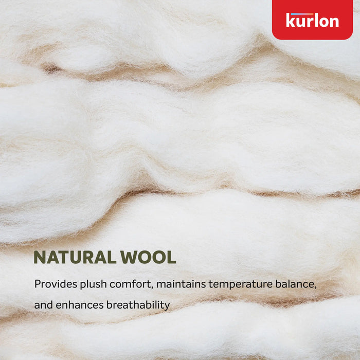 Kurlon Earth Spring |Pocket Spring Mattress with Natural Latex and Wool Padding| 3 Zone Spinal Support |Hypoallergenic Comfort |Motion Isolation