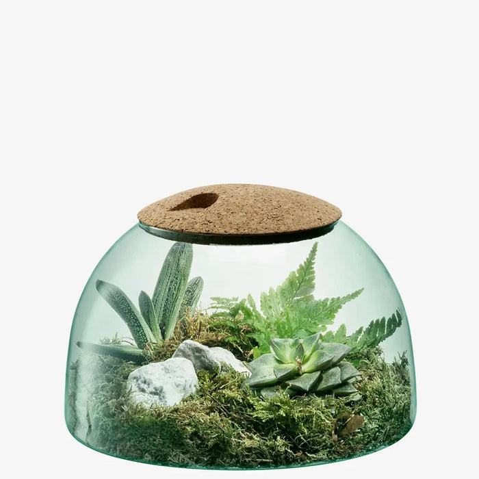 Canopy Closed Garden H16.5cm Recycled/Cork