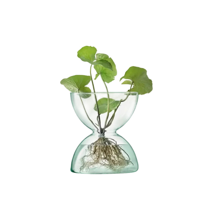 Canopy Vase H24cm Clear