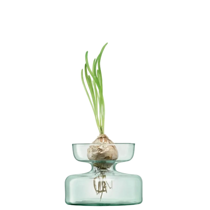 Canopy Vase/Bulb Planter H10cm Clear