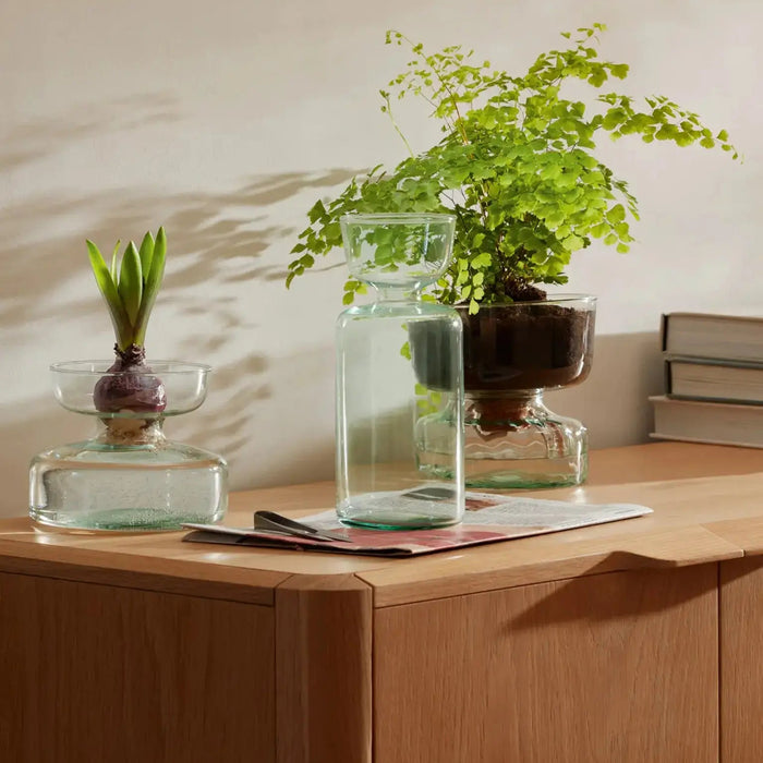 Canopy Vase/Bulb Planter H10cm Clear