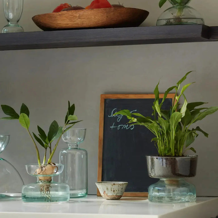 Canopy Vase/Bulb Planter H10cm Clear