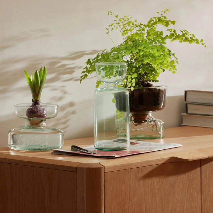 Canopy Vase/Bulb Planter H20cm Clear