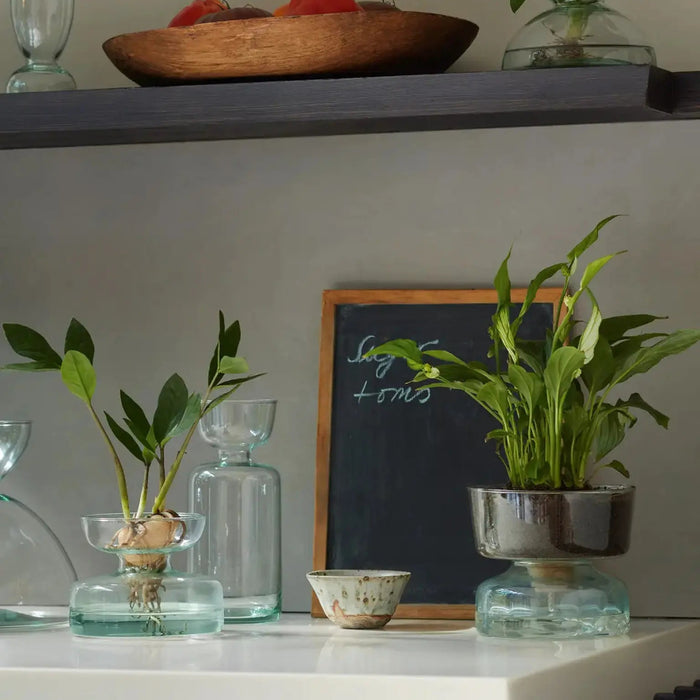 Canopy Vase/Bulb Planter H20cm Clear