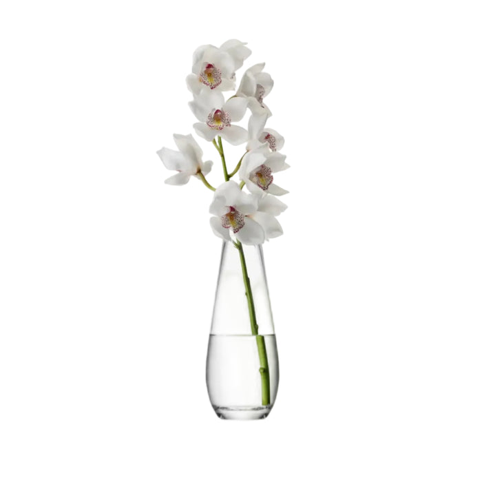 Flower Tall Stem Vase H29cm Clear