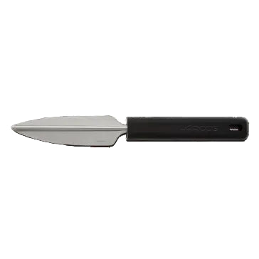 Fruit Decorator Knife 100 Mm. Display - Gadgets