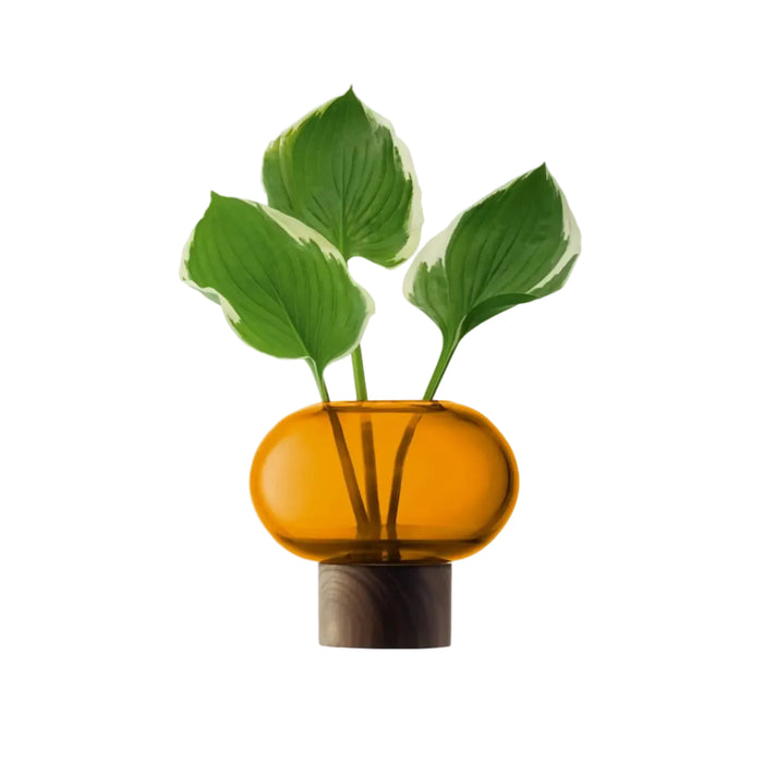 Oblate Vase H13.5cm - Amber