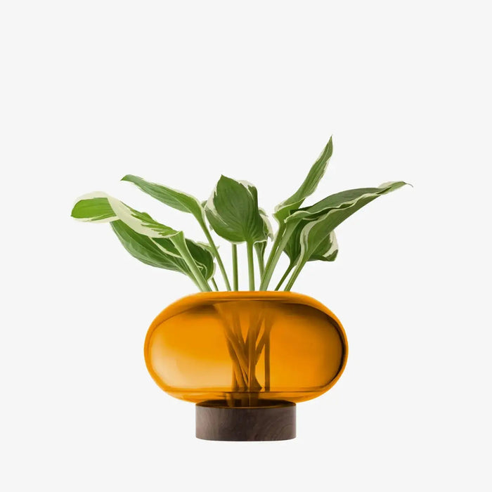 Oblate Vase/Lantern H19.5cm - Amber