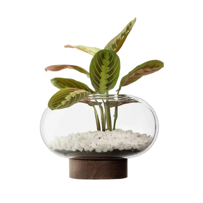 Oblate Vase/Lantern H19.5cm