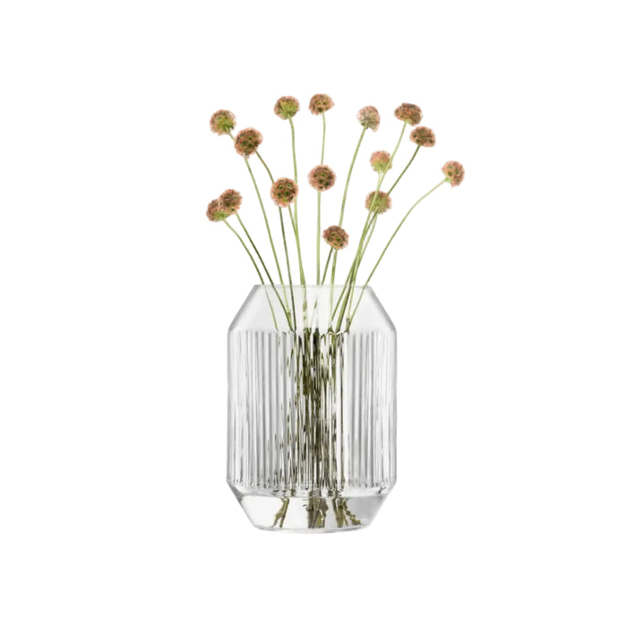 Rotunda Lantern/Vase H26cm Clear