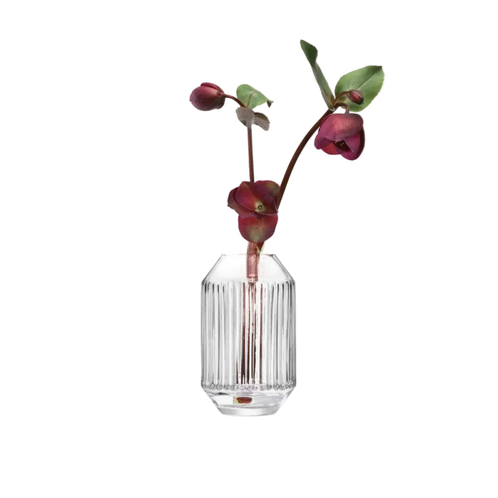 Rotunda Vase H15cm Clear