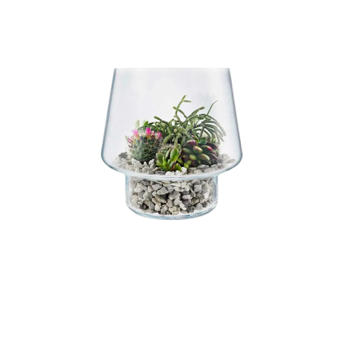 Succulent Glass Vase - 21cm