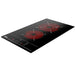 Induction cooktop with two heating elements on a white background