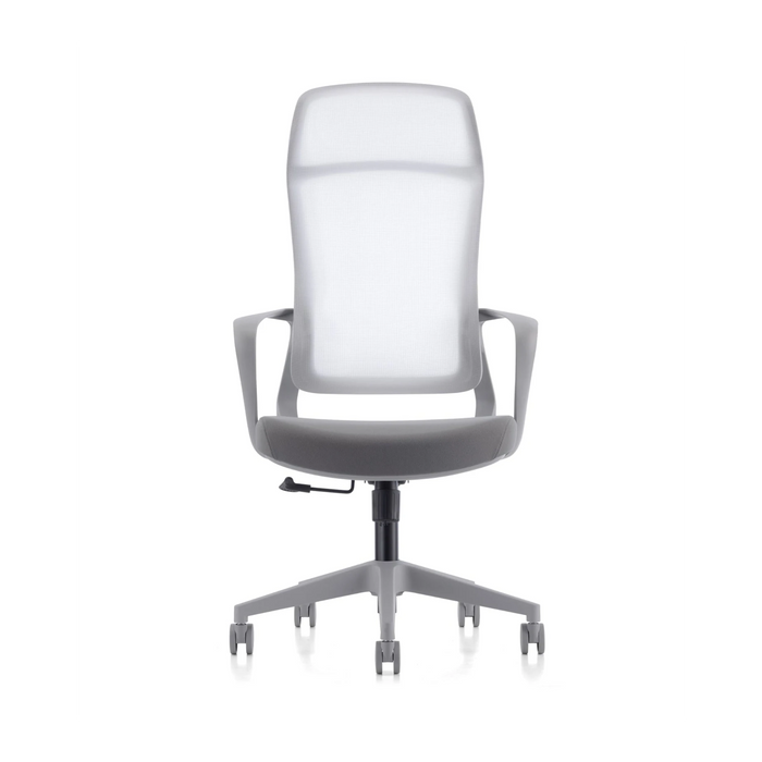 SkyLand CH 620 Workstation Chair with Lumbar Support and Breathable Mesh - Adjustable Comfort - for Home Office and Executives (GREY)