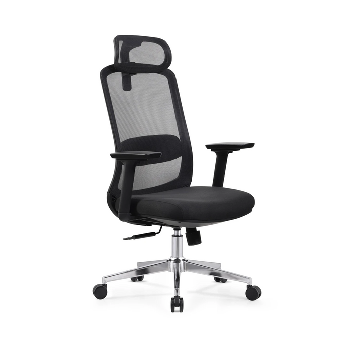 Skyland Executive office chair CH 125 black