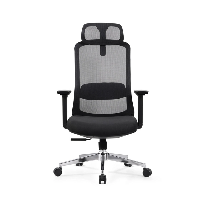 Skyland Executive office chair CH 125 black