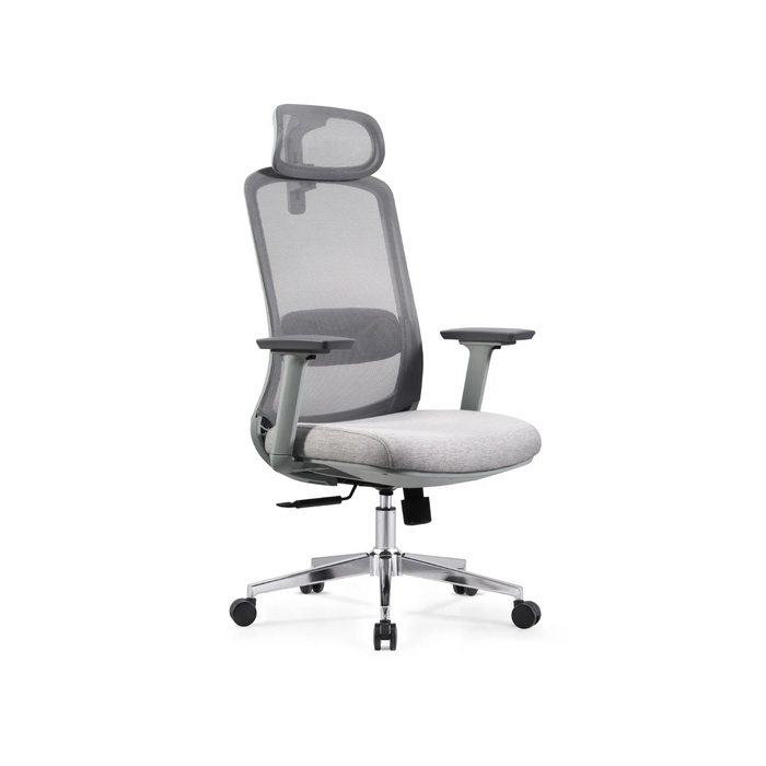 Skyland Executive office chair CH 125 grey