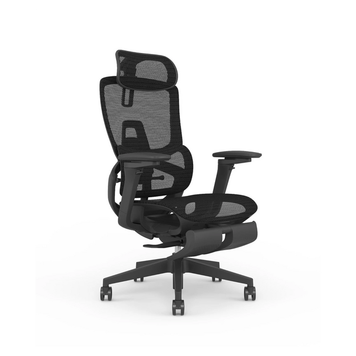 Skyland Executive Office chair CH 975 black