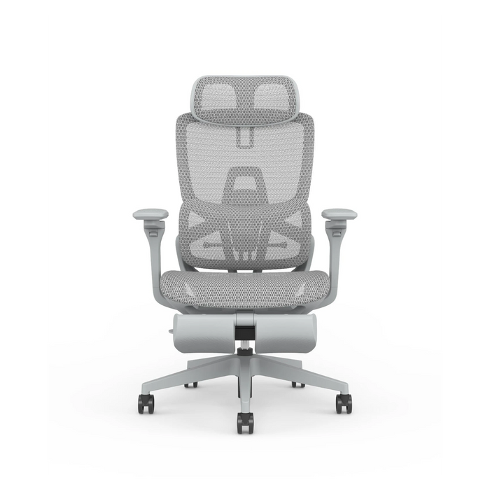 Skyland Executive Office chair CH 975 grey
