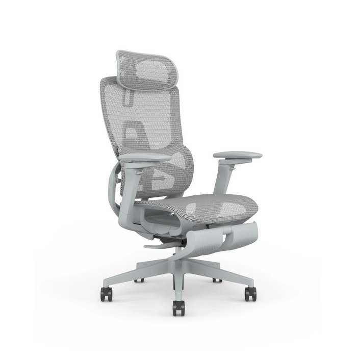Skyland Executive Office chair CH 975 grey