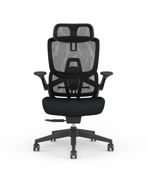 Skyland Executive Office chair CH 980 black Treejar