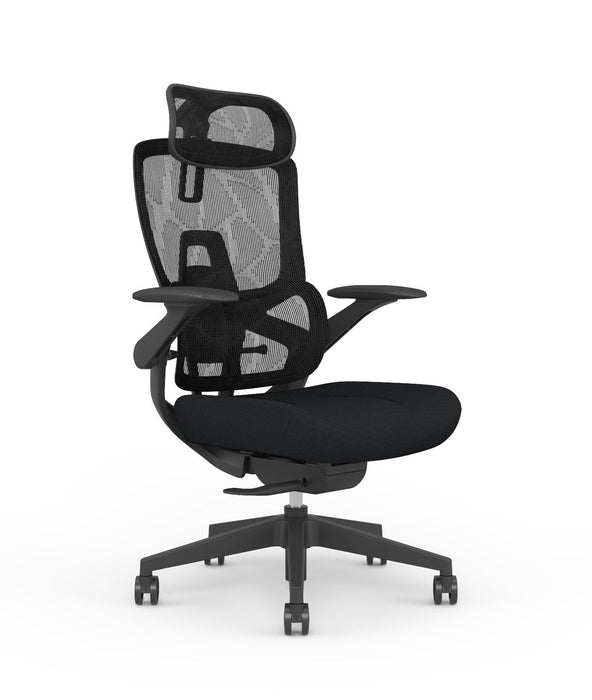 Skyland Executive Office chair CH 980 black Treejar