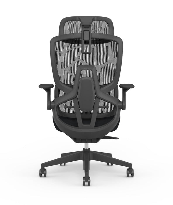 Skyland Executive Office chair CH 980 black Treejar