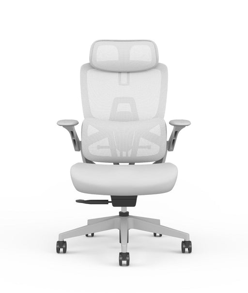 Skyland Executive Office chair CH 980 grey Treejar